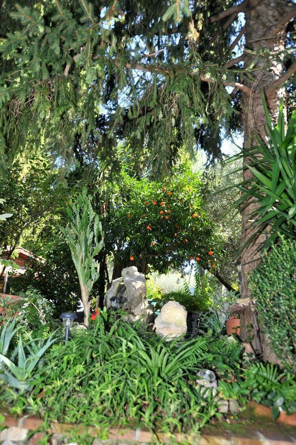 Casa Pontecorvi Panzió Velletri Kültér fotó