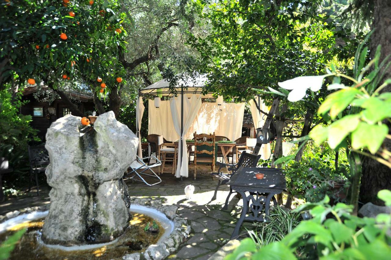 Casa Pontecorvi Panzió Velletri Kültér fotó